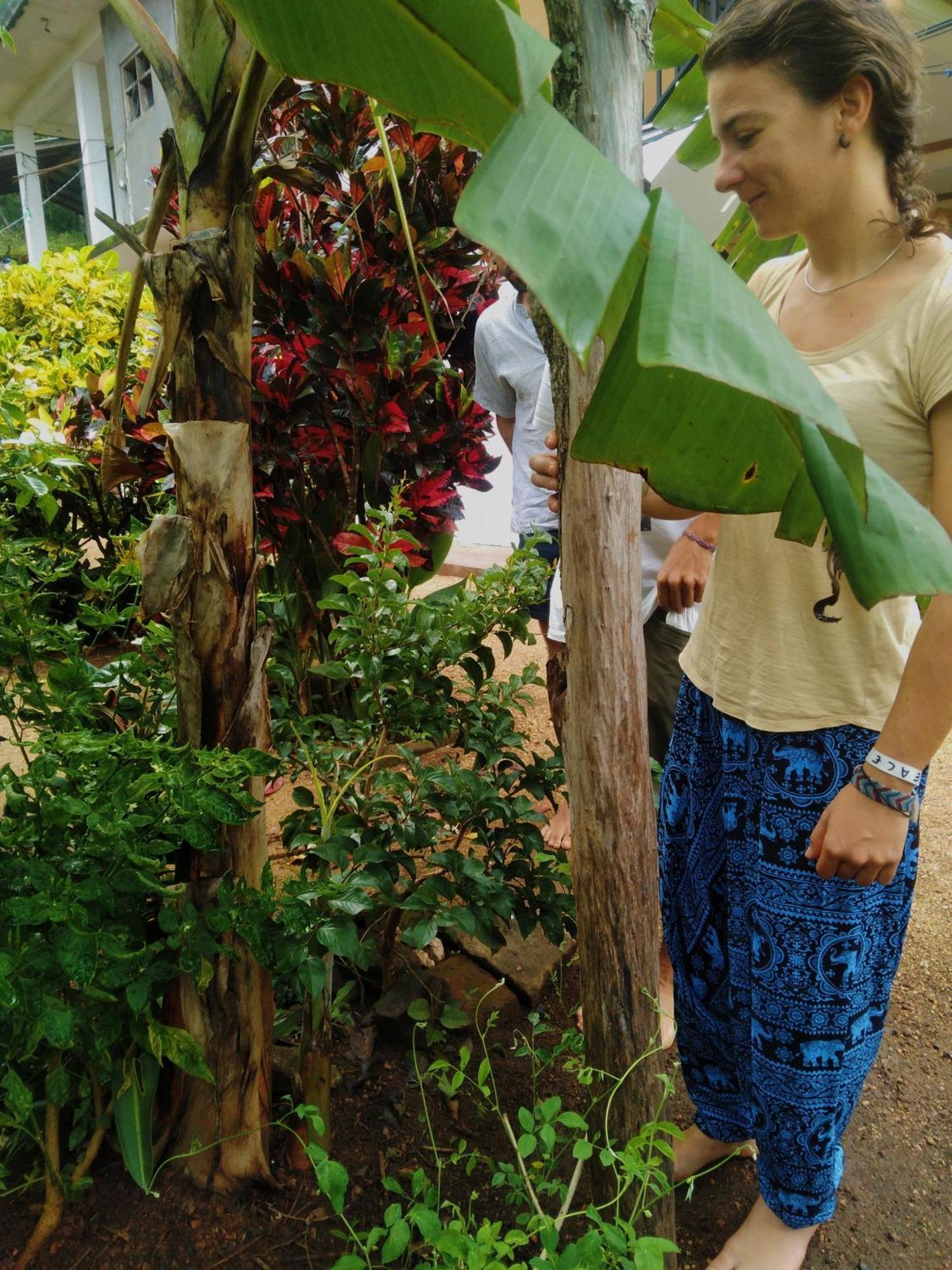 Mount View Hotel Polonnaruwa Luaran gambar