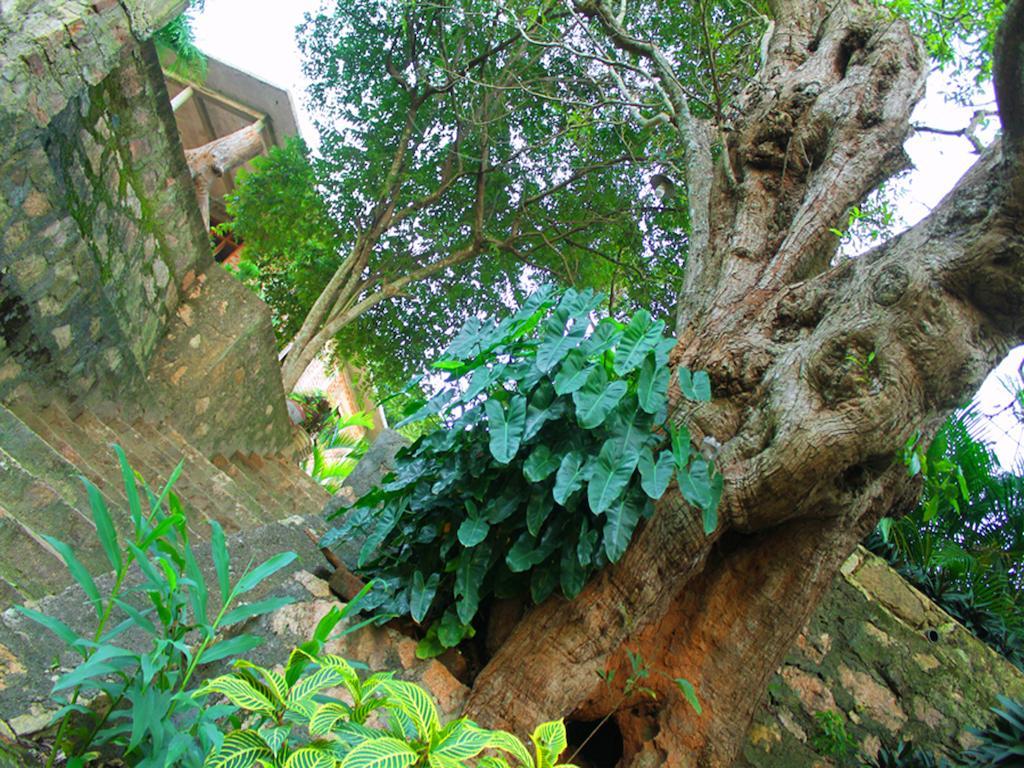 Mount View Hotel Polonnaruwa Luaran gambar