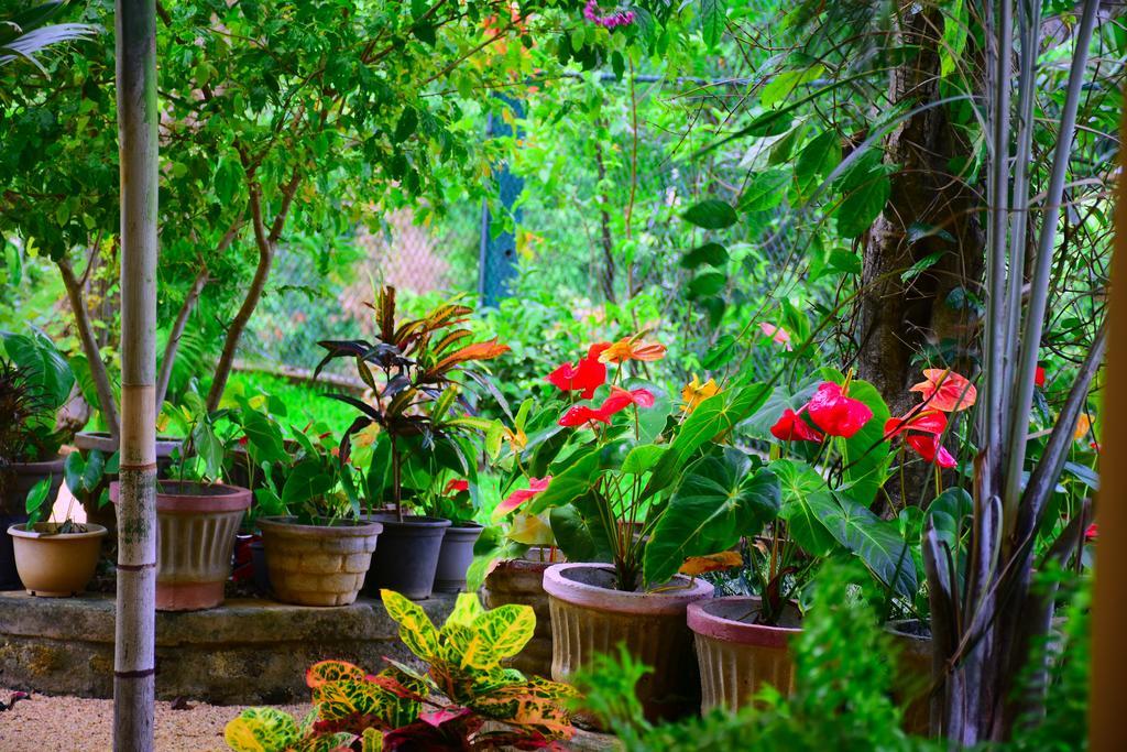 Mount View Hotel Polonnaruwa Luaran gambar